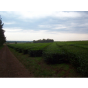 31305f4e617361646920c48d616a61.jpg<>Čajni nasadi