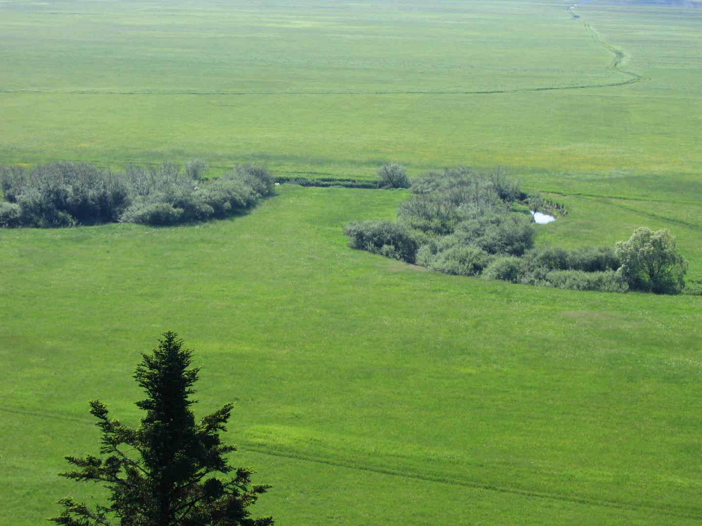 Cerkniško polje