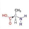 D-alanin