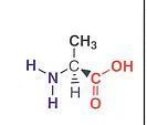 L-alanin