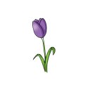 album1.png<>Druga slika