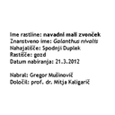 0312_herbarij_zvoncek_etiketa.jpg<>Pravilno izpolnjena etiketa na herbarijskem listu.