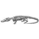 0312_ogrodje_vretencarji_krokodil.jpg<>Okostje krokodila