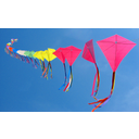 70_kites_on_a_single_line.jpg<>Spuščanje papirnatih zmajev
