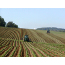 Tractors_in_Potato_Field.jpg<>Traktor na polju krompirja